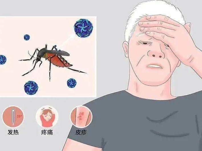 
                        4:3图片
