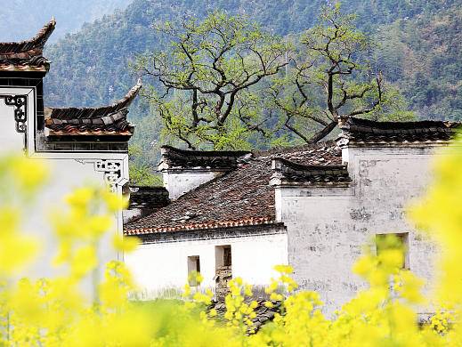 
                        4:3图片