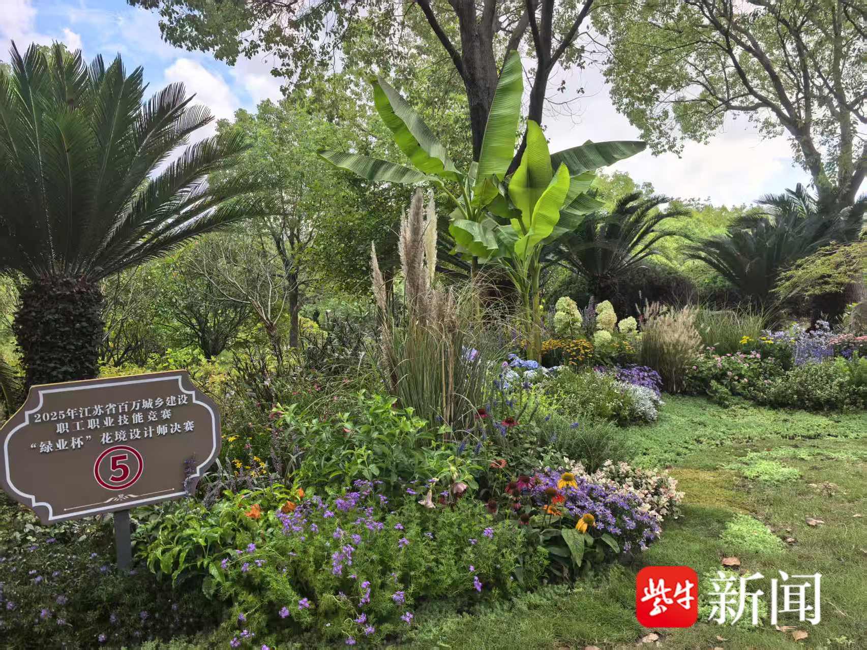 
                        4:3图片