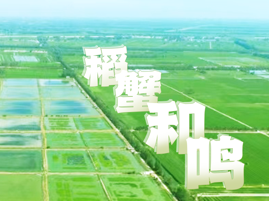 
                        4:3图片
