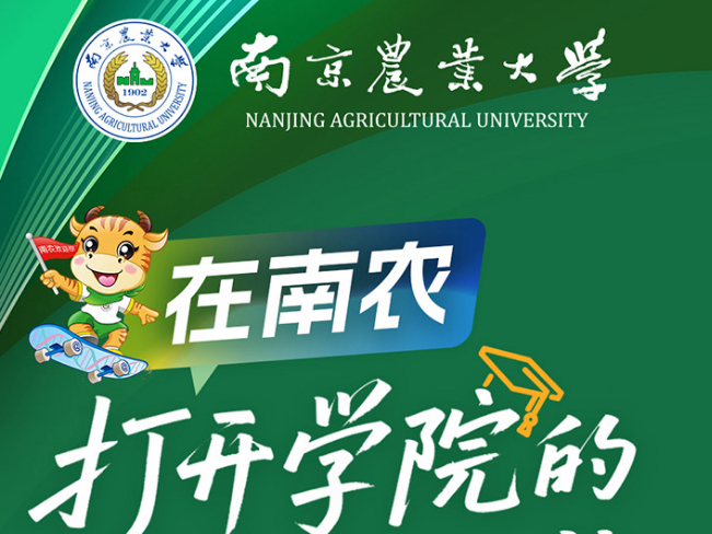 
                        4:3图片