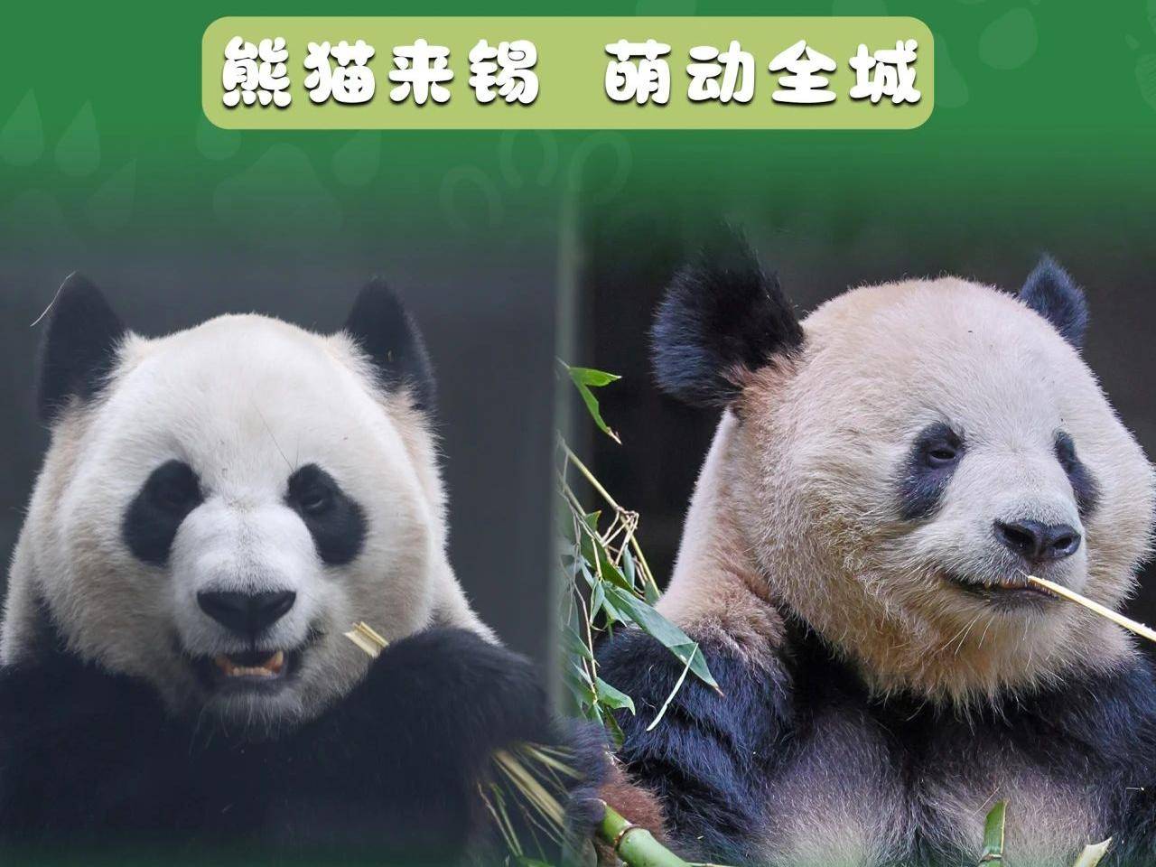 
                        4:3图片