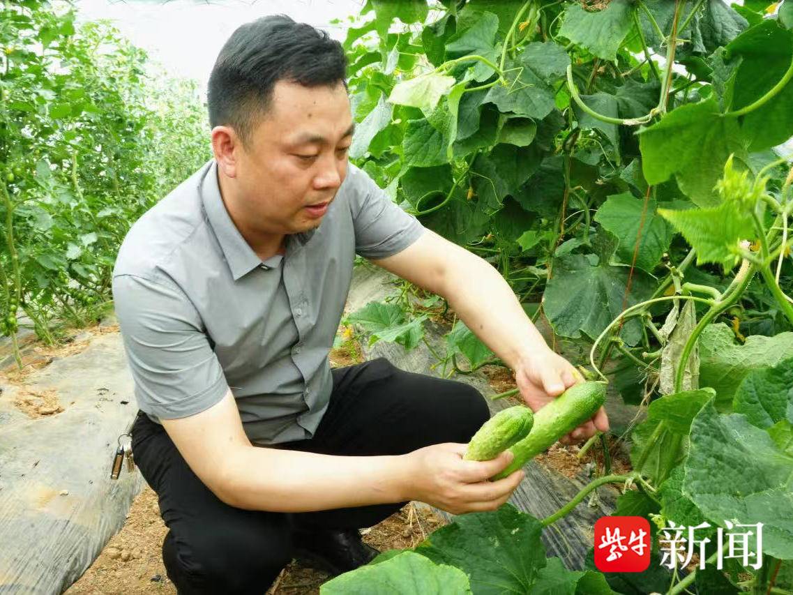 
                        4:3图片