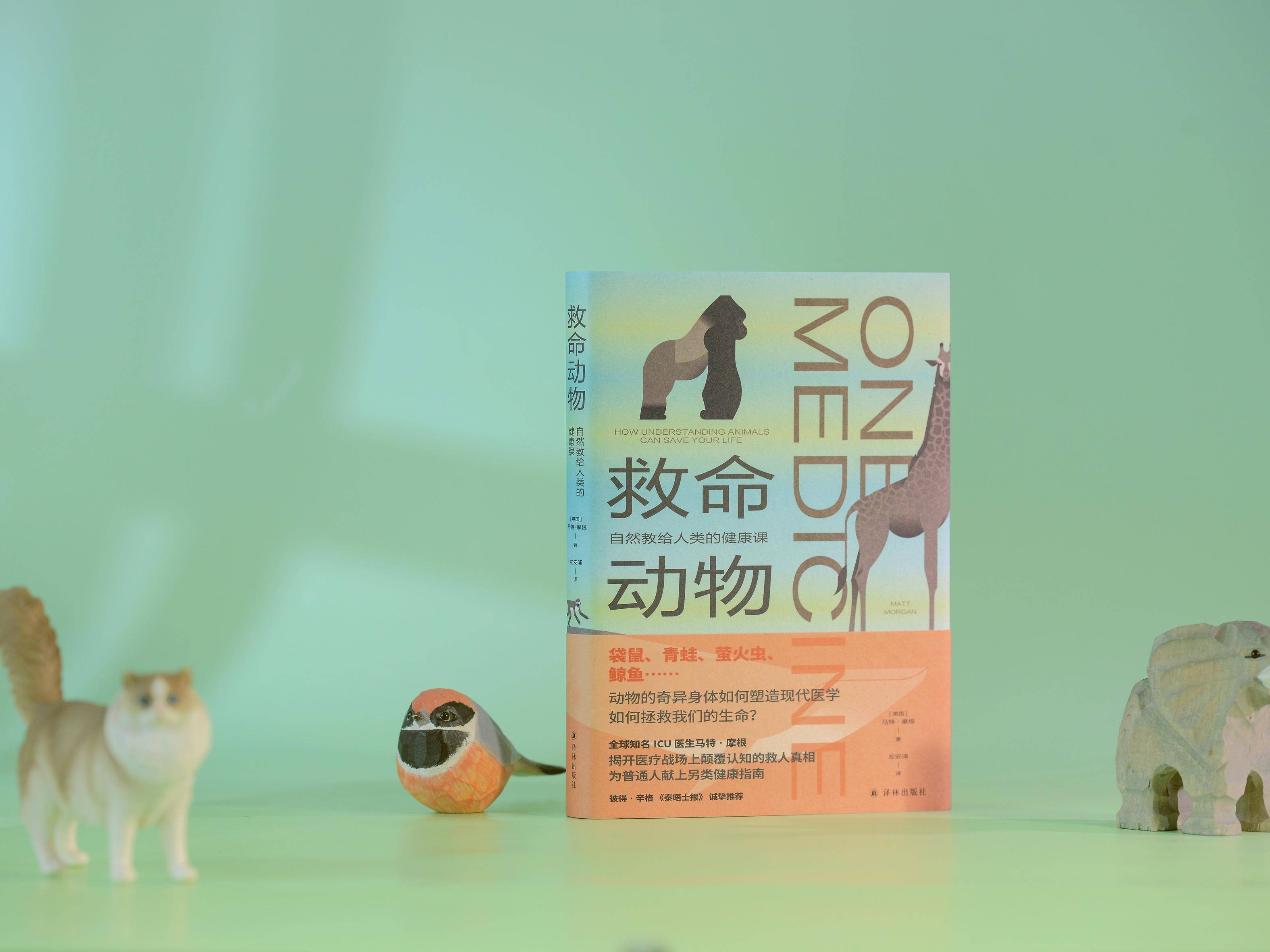 
                        4:3图片