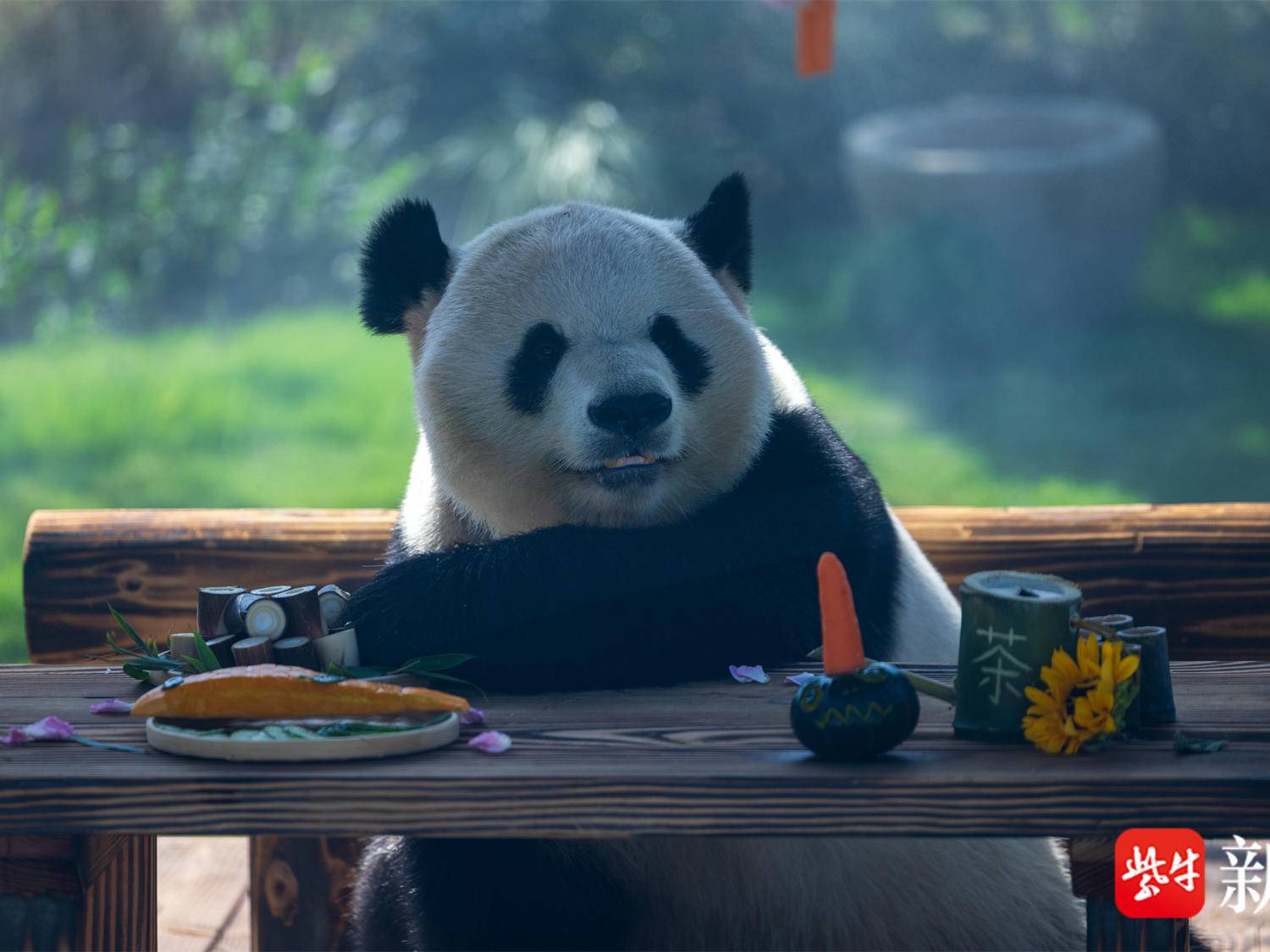 
                        4:3图片