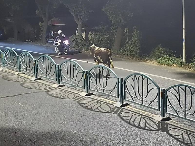 
                        4:3图片
