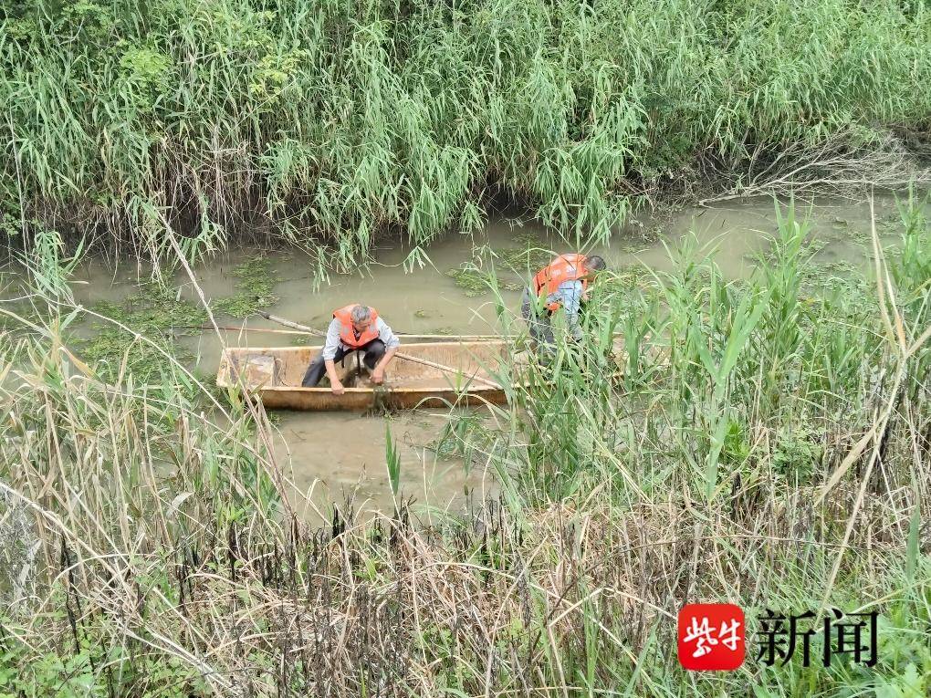 
                        4:3图片