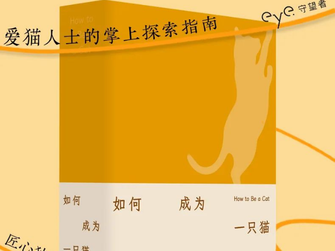 
                        4:3图片
