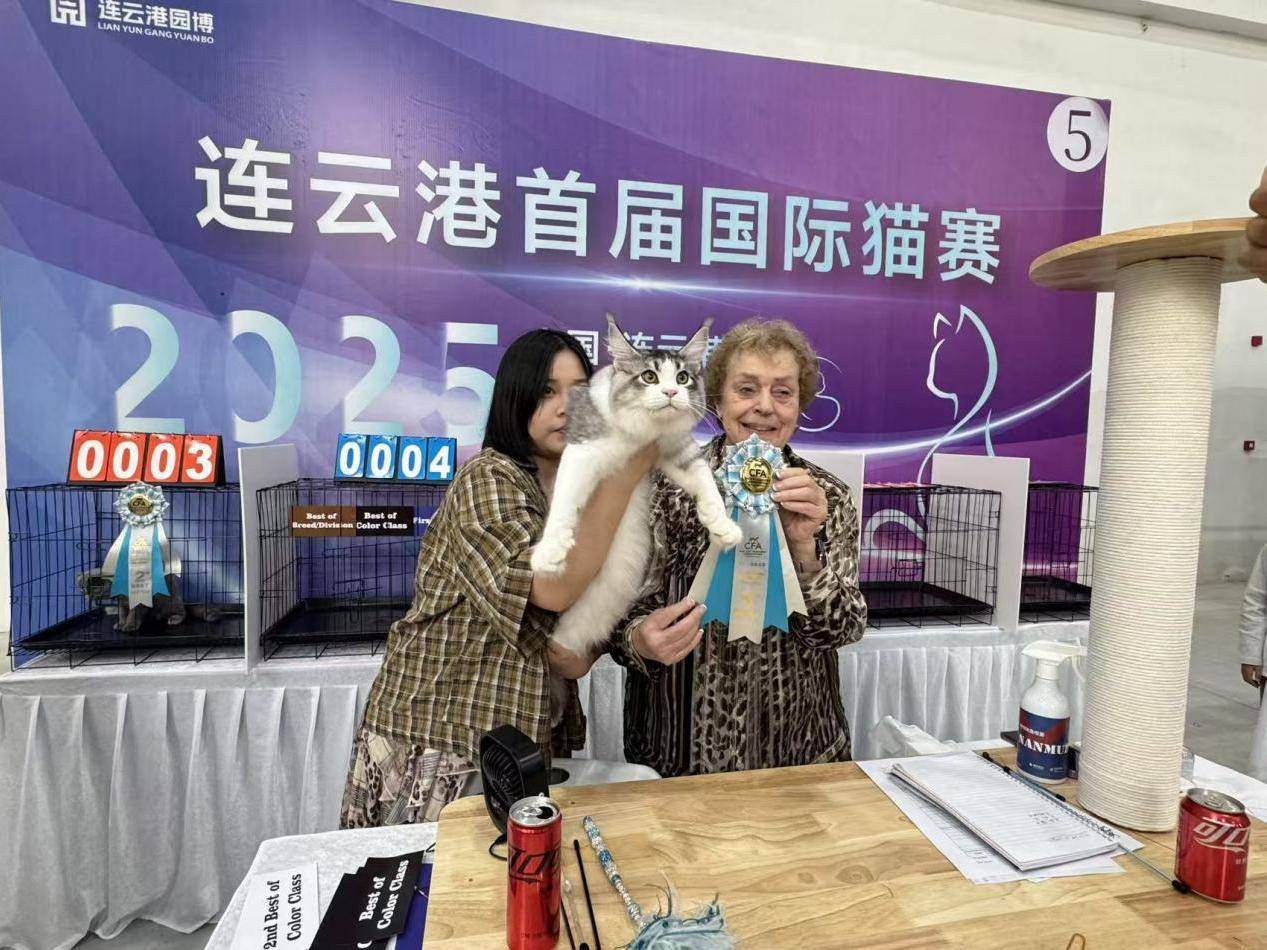 
                        4:3图片