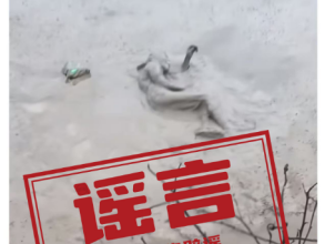 
                        4:3图片