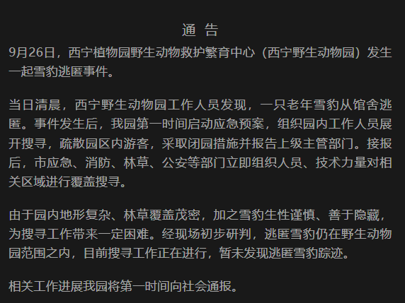 
                        4:3图片