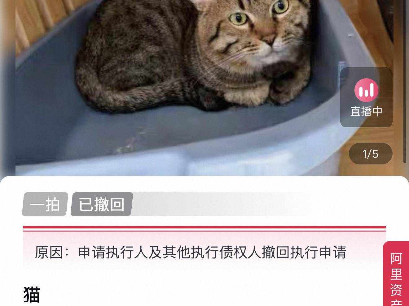 
                        4:3图片