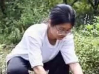 
                        4:3图片