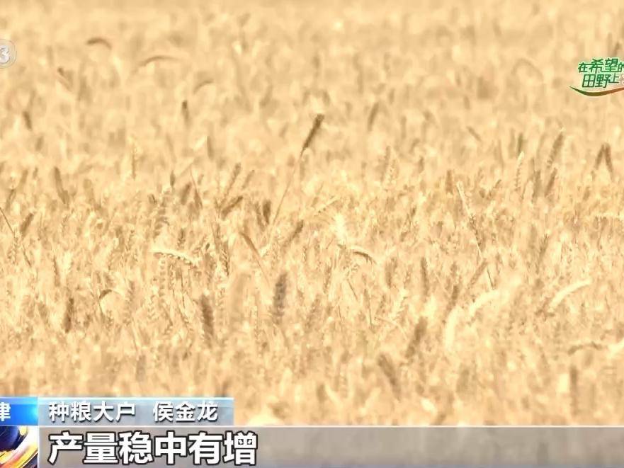 
                        4:3图片