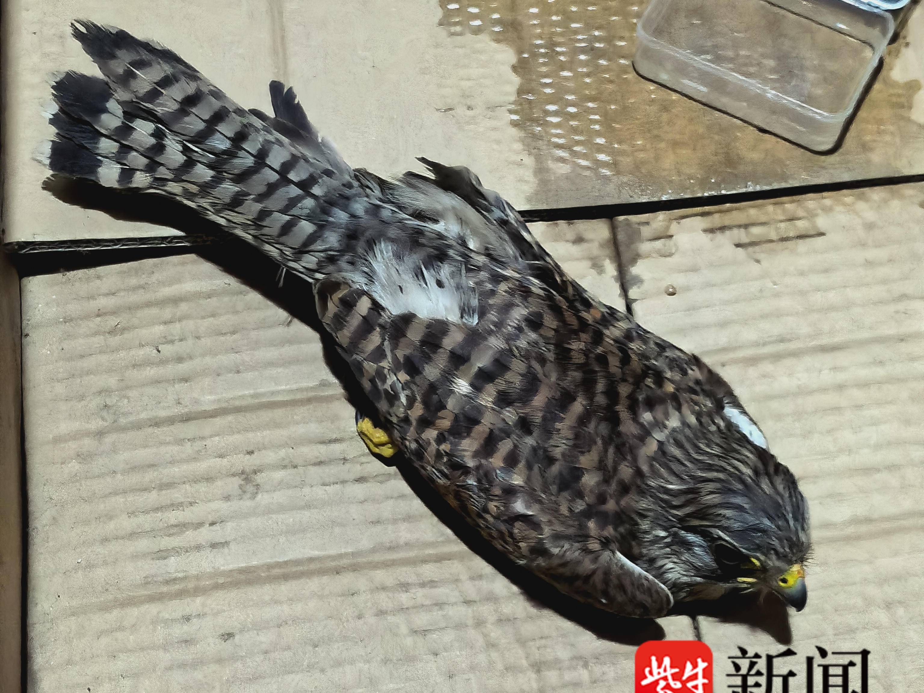 
                        4:3图片