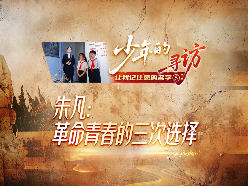
                        4:3图片