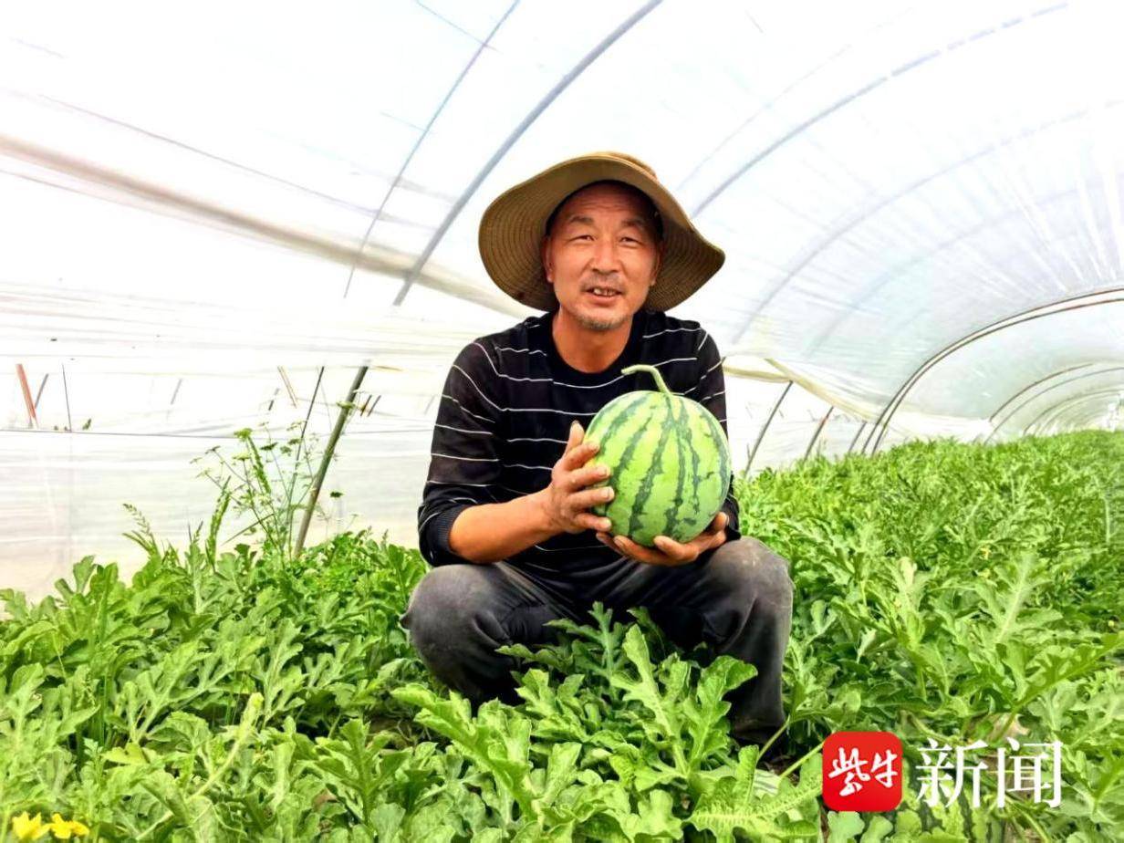 
                        4:3图片