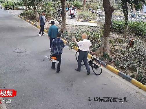 
                        4:3图片