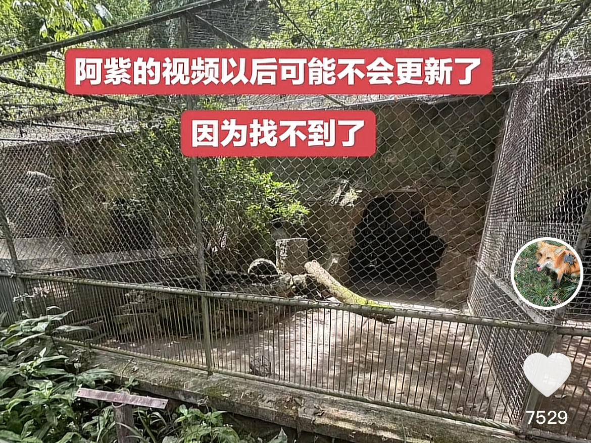 
                        4:3图片