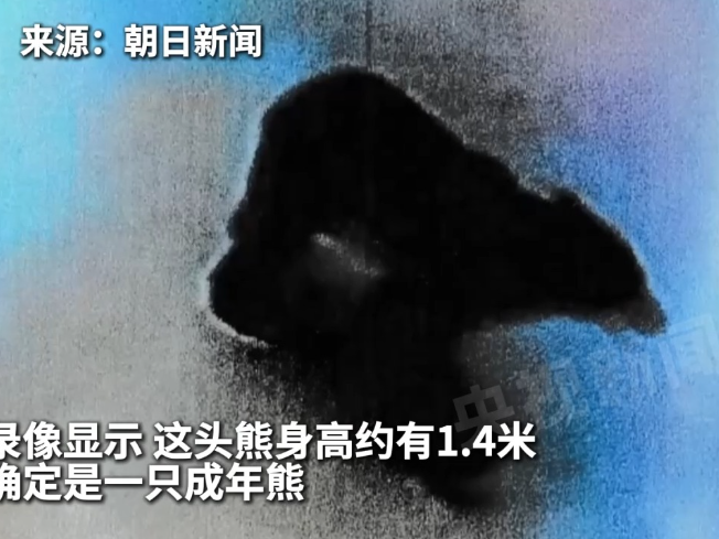 
                        4:3图片