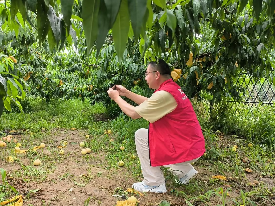 
                        4:3图片