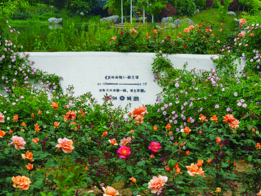 
                        4:3图片
