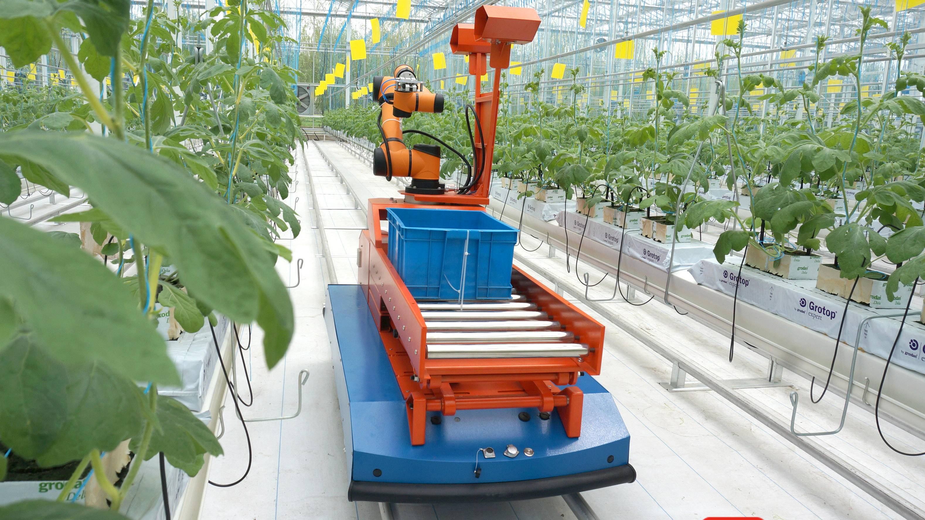 【视频】e路同行 智慧江苏"数字乡村"篇| 人工智能 机器人技术,农田里