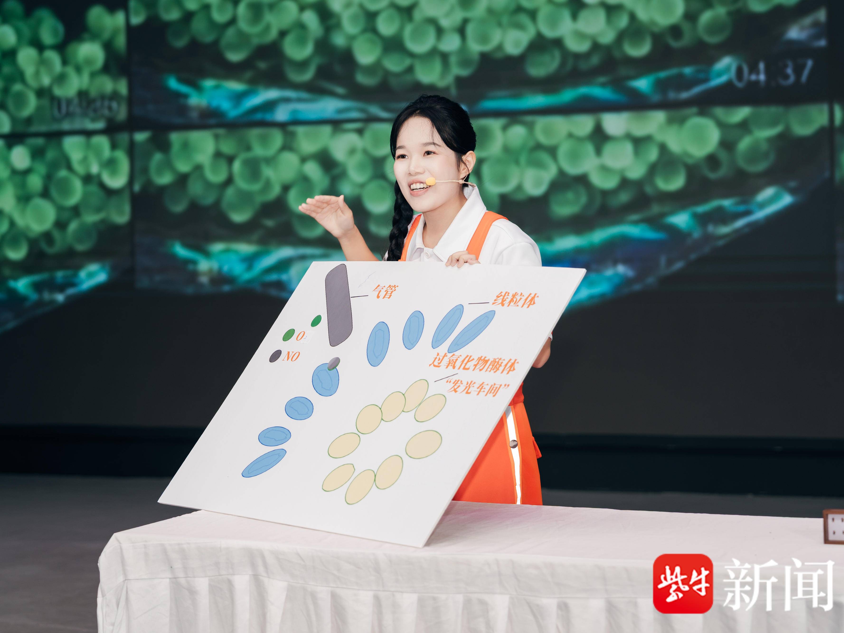 
                        4:3图片