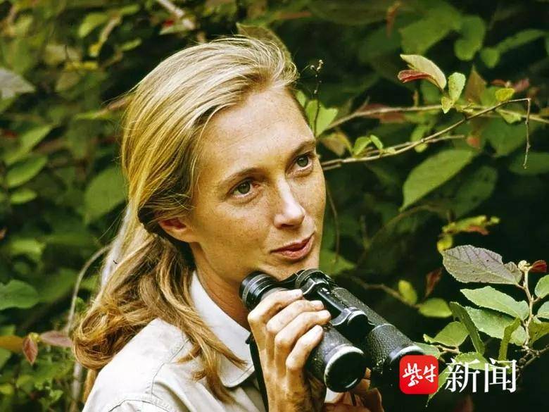 
                        4:3图片