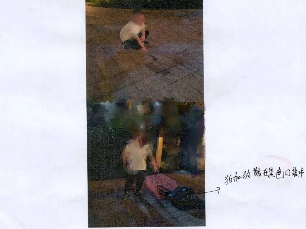 
                        4:3图片