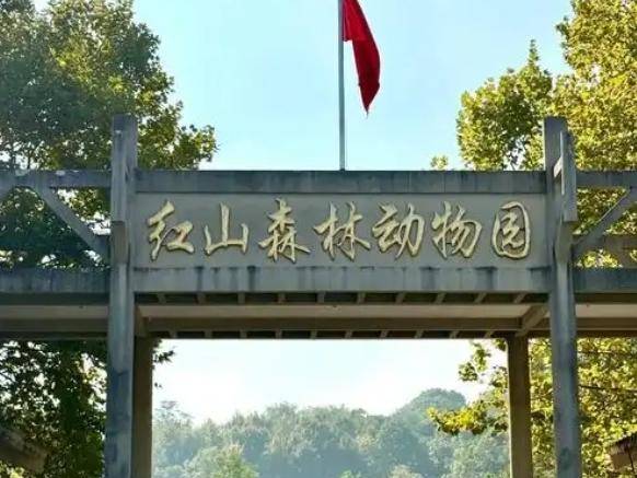
                        4:3图片