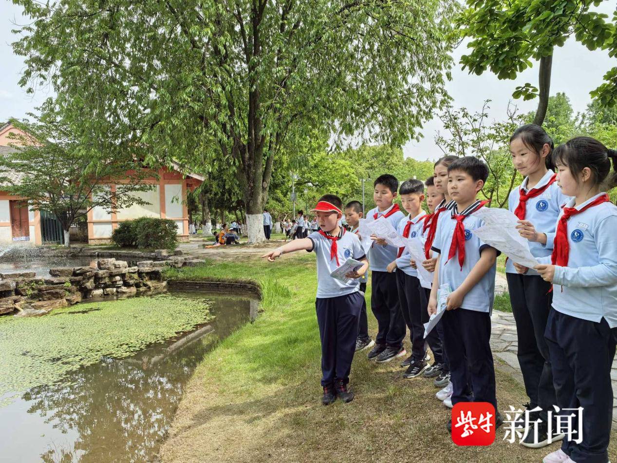 
                        4:3图片