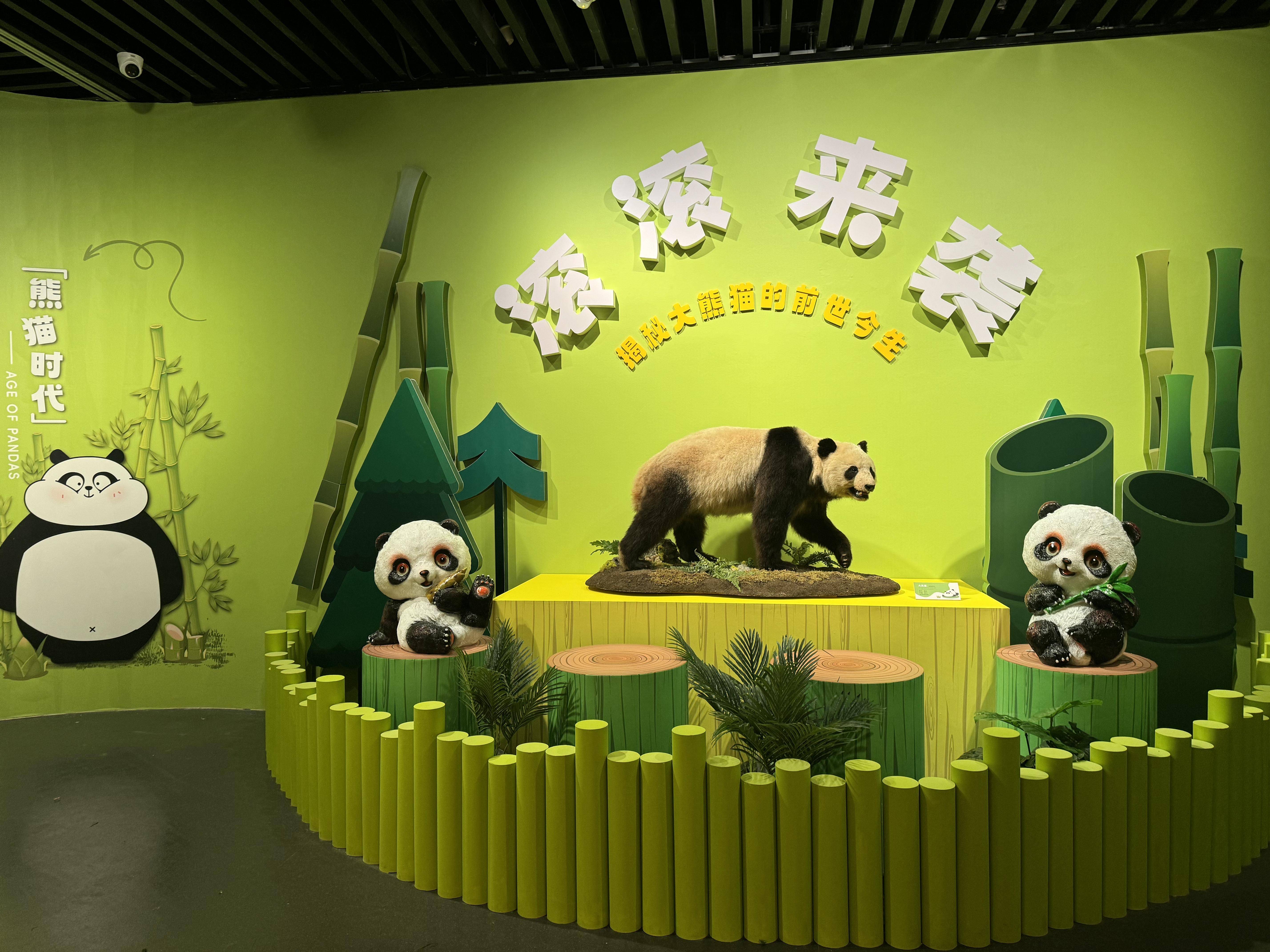 
                        4:3图片