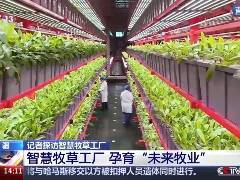 
                        4:3图片