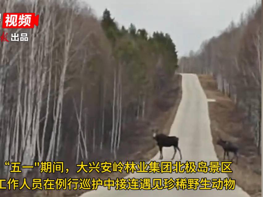 
                        4:3图片