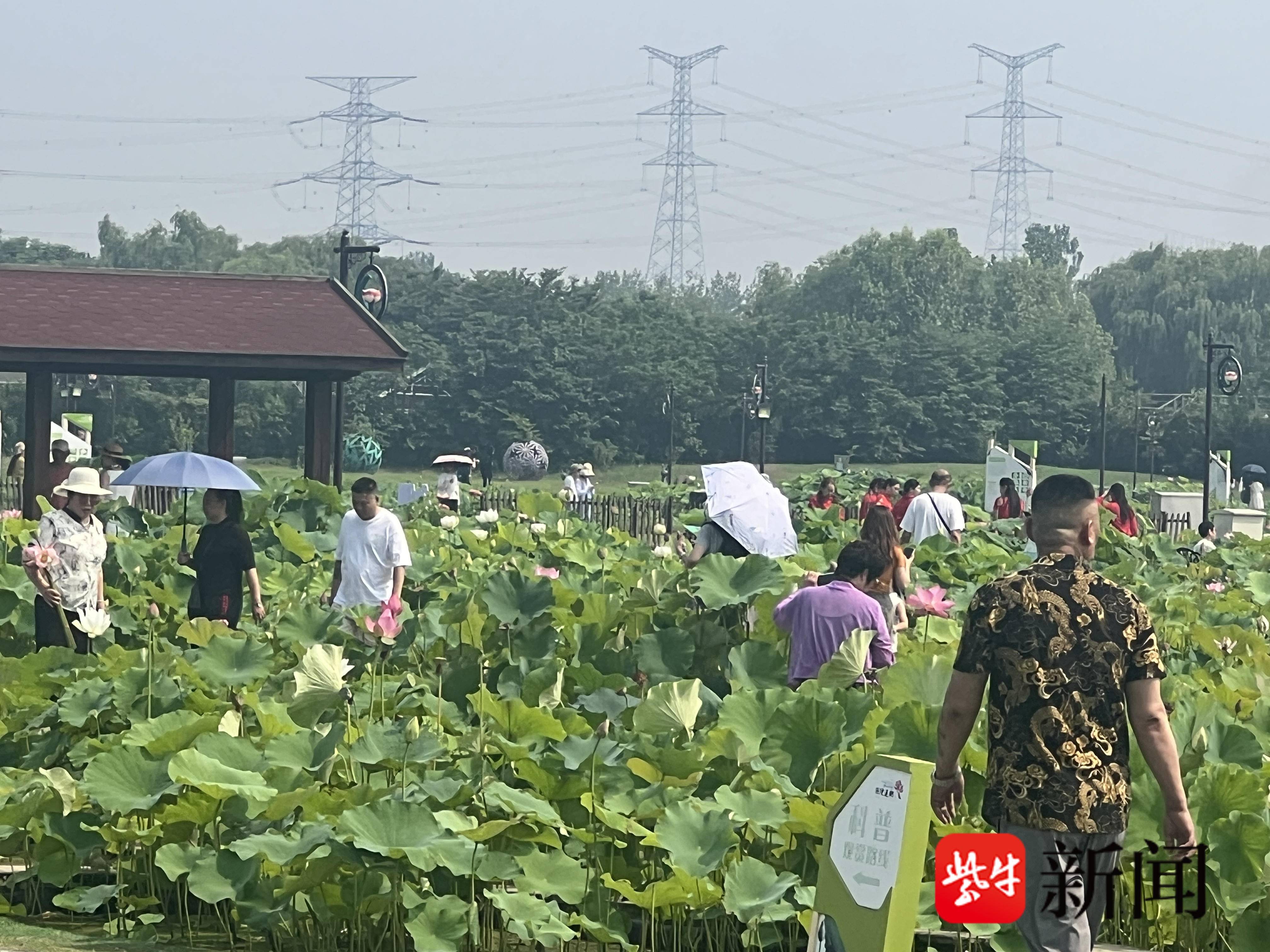 
                        4:3图片
