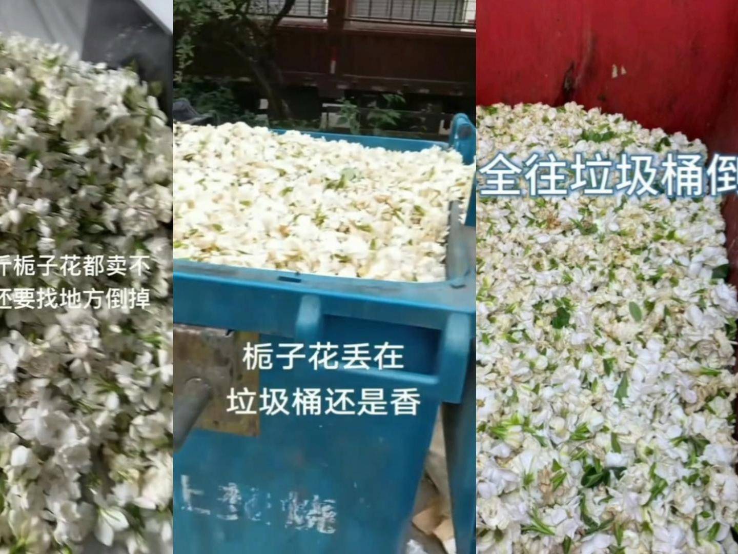 
                        4:3图片