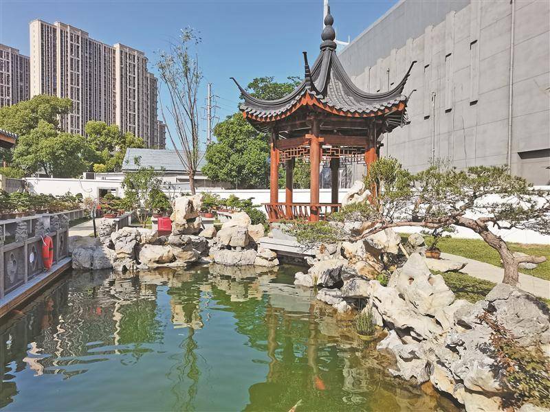 
                        4:3图片