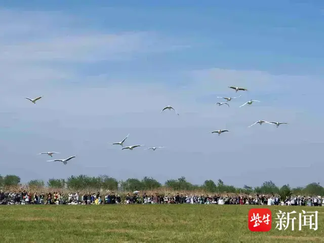 
                        4:3图片