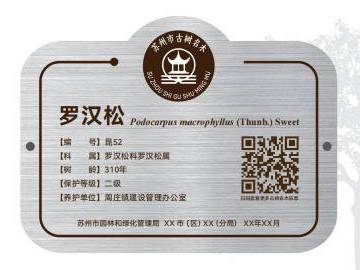 
                        4:3图片