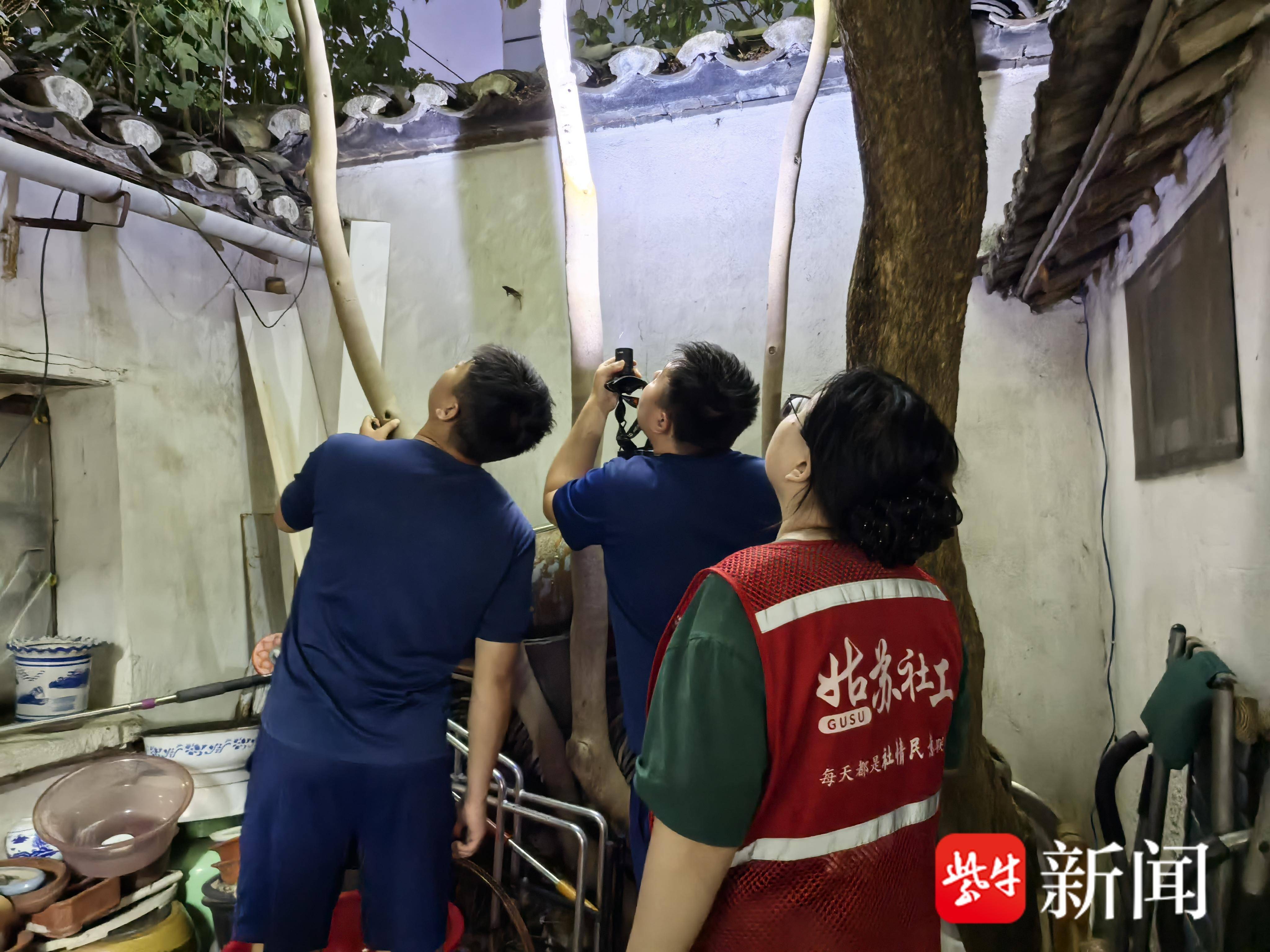 
                        4:3图片