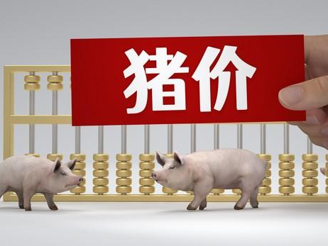 
                        4:3图片