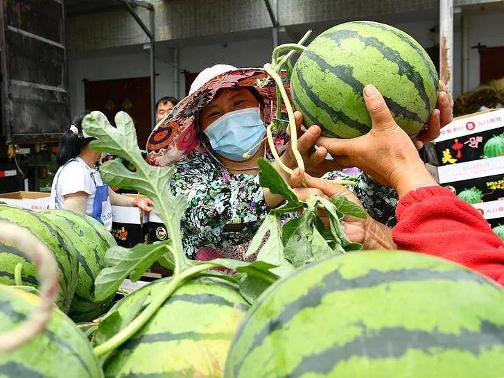 
                        4:3图片