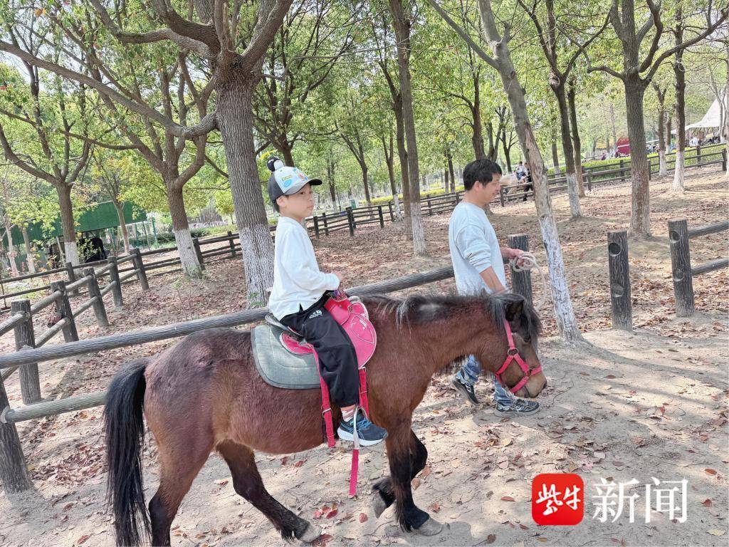 
                        4:3图片