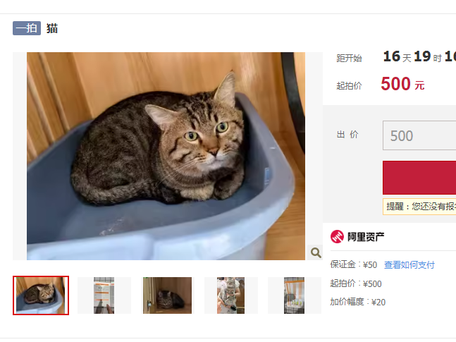 
                        4:3图片