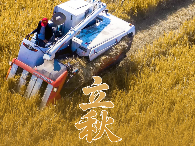 
                        4:3图片