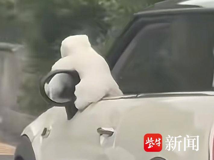 
                        4:3图片