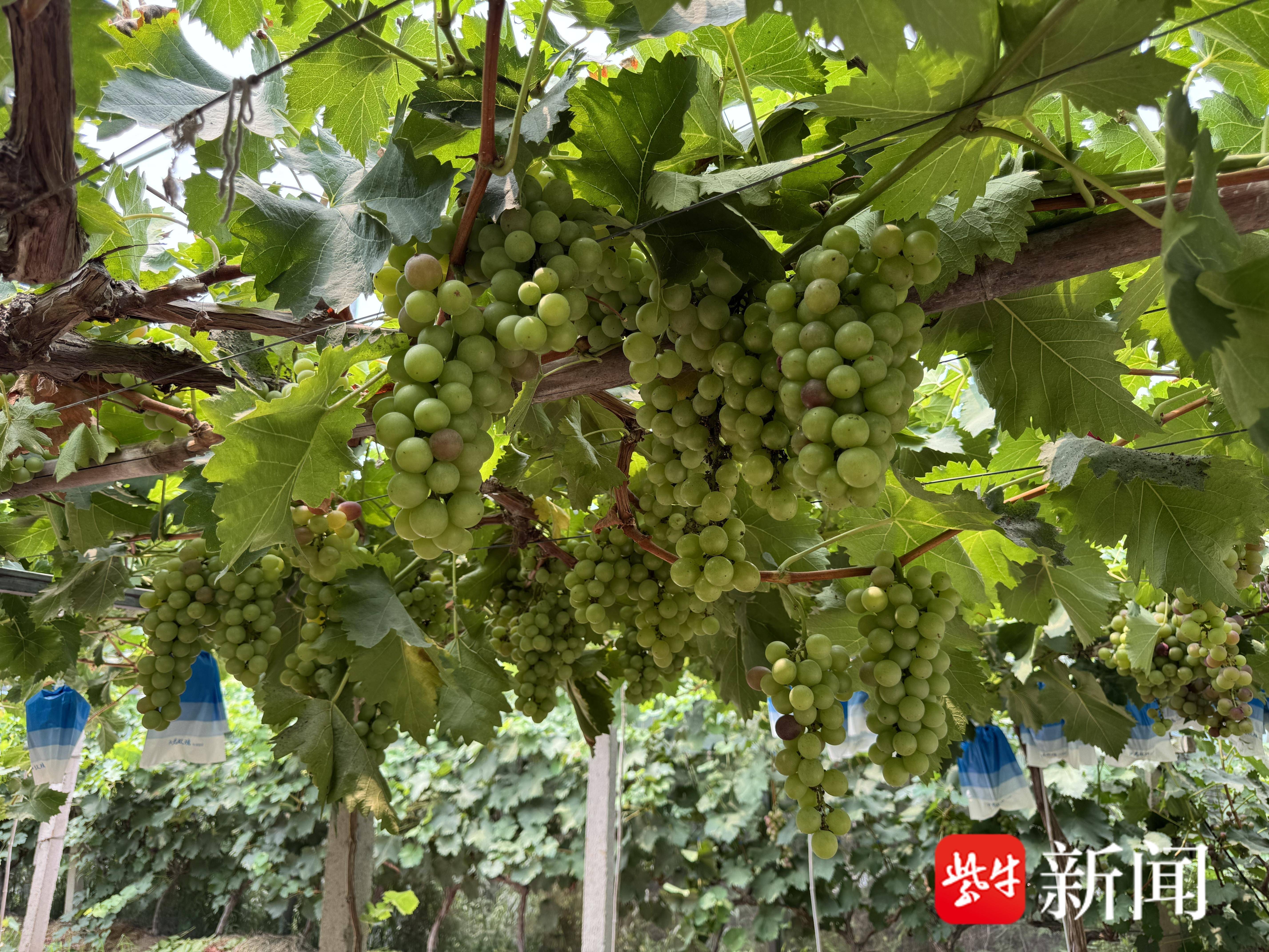 
                        4:3图片