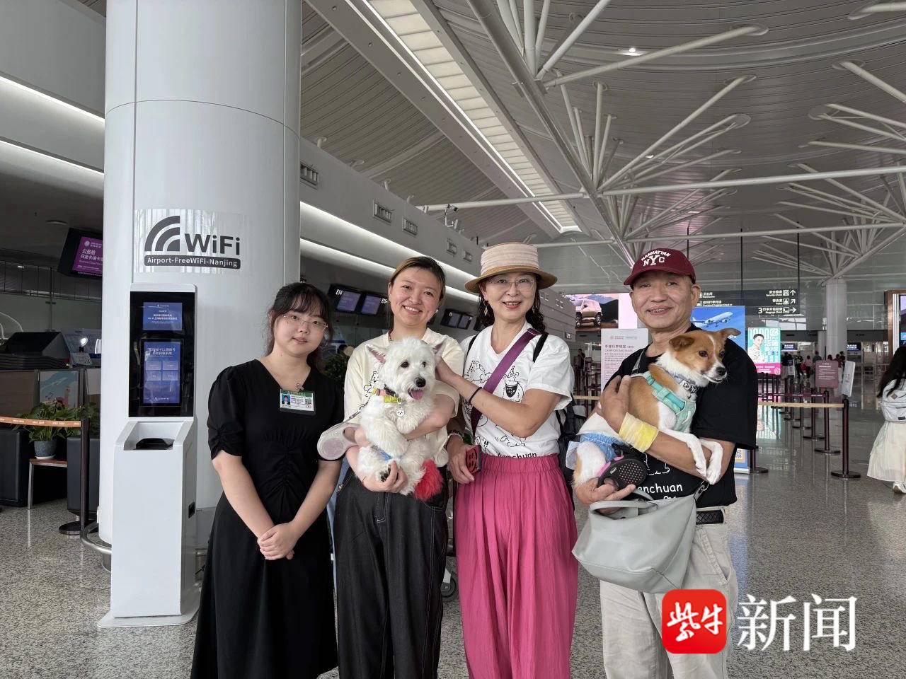 
                        4:3图片