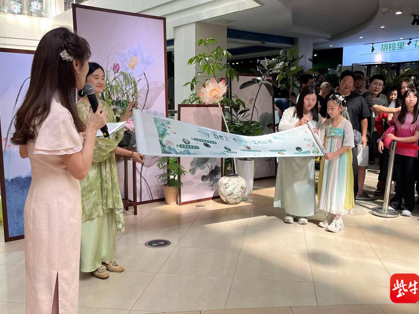
                        4:3图片